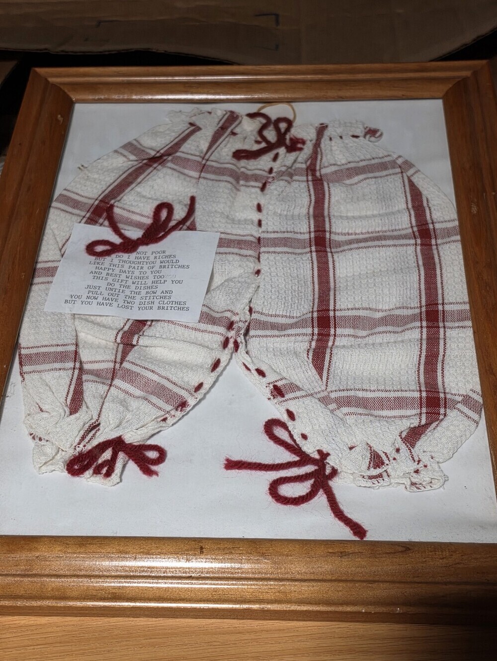 Vintage Kitchen dish cloth kitchen wall decor hand knit Britches Bloomers Framed